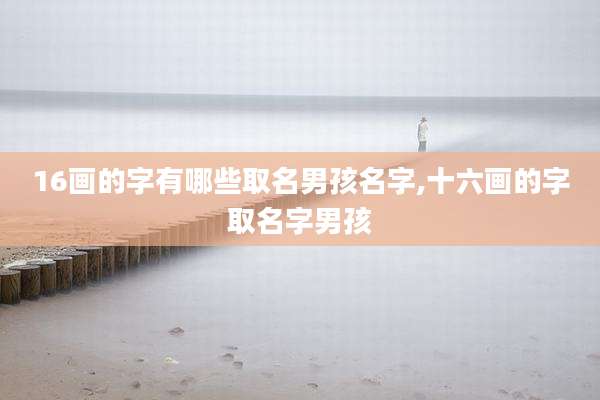 16画的字有哪些取名男孩名字,十六画的字取名字男孩