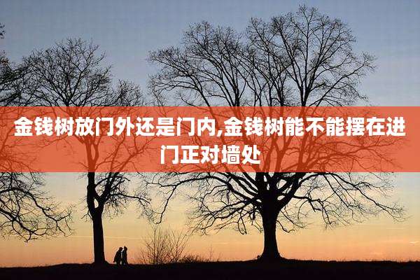 金钱树放门外还是门内,金钱树能不能摆在进门正对墙处