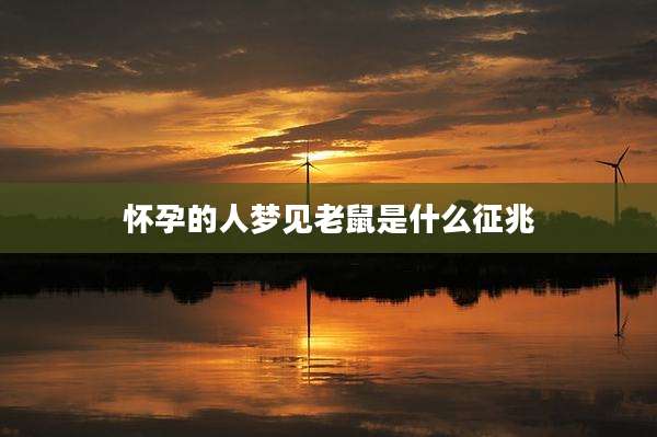怀孕的人梦见老鼠是什么征兆