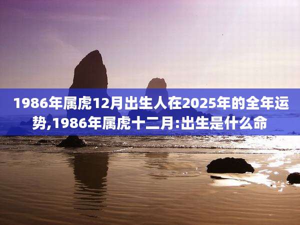 1986年属虎12月出生人在2025年的全年运势,1986年属虎十二月:出生是什么命