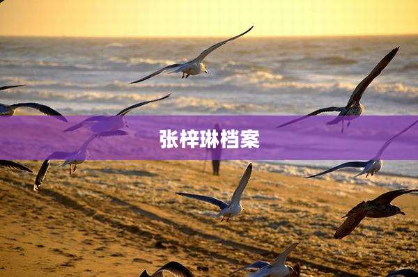 张梓琳档案
