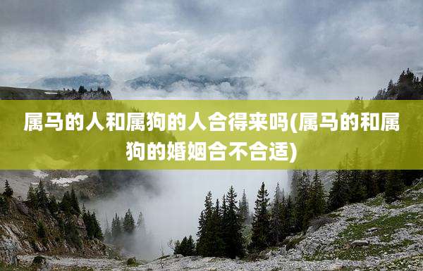 属马的人和属狗的人合得来吗(属马的和属狗的婚姻合不合适)