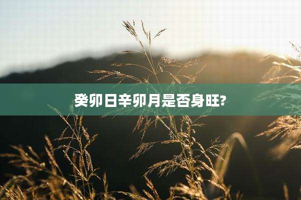 癸卯日辛卯月是否身旺?