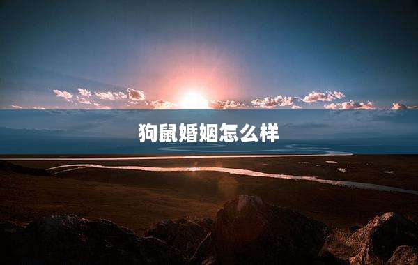 狗鼠婚姻怎么样