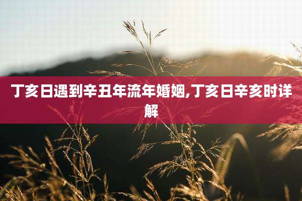 丁亥日遇到辛丑年流年婚姻,丁亥日辛亥时详解