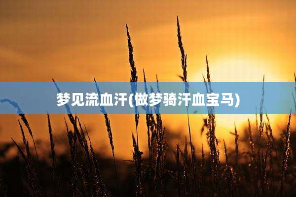 梦见流血汗(做梦骑汗血宝马)