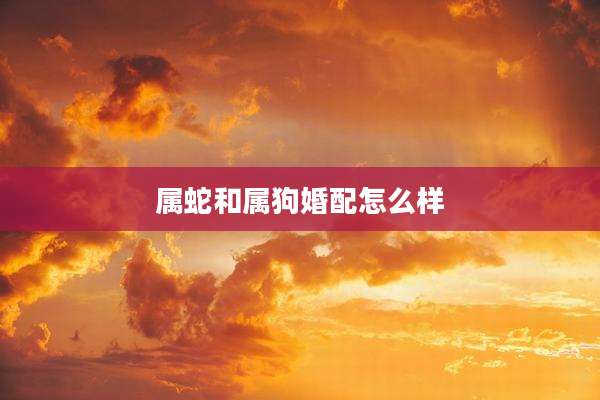 属蛇和属狗婚配怎么样
