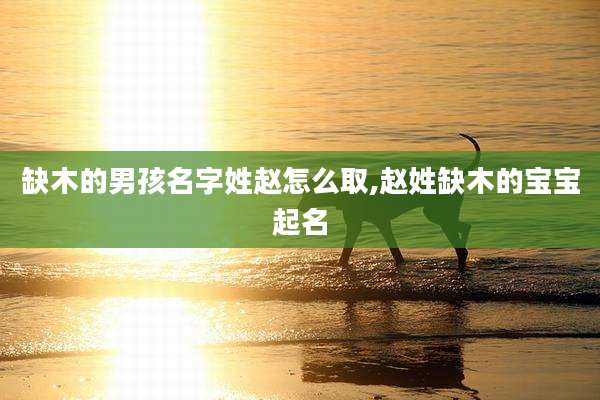 缺木的男孩名字姓赵怎么取,赵姓缺木的宝宝起名