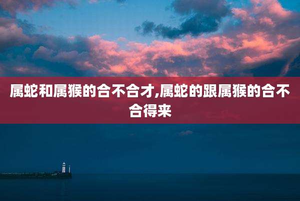 属蛇和属猴的合不合才,属蛇的跟属猴的合不合得来