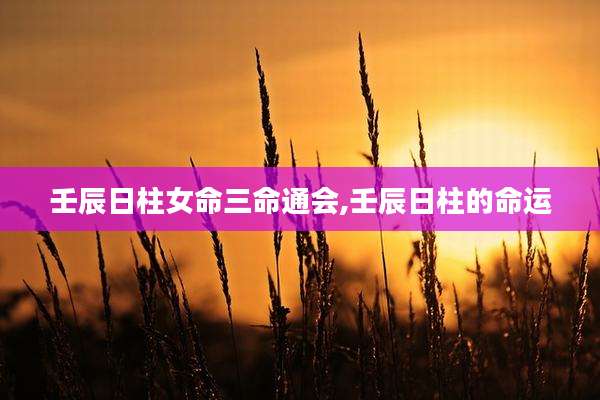 壬辰日柱女命三命通会,壬辰日柱的命运