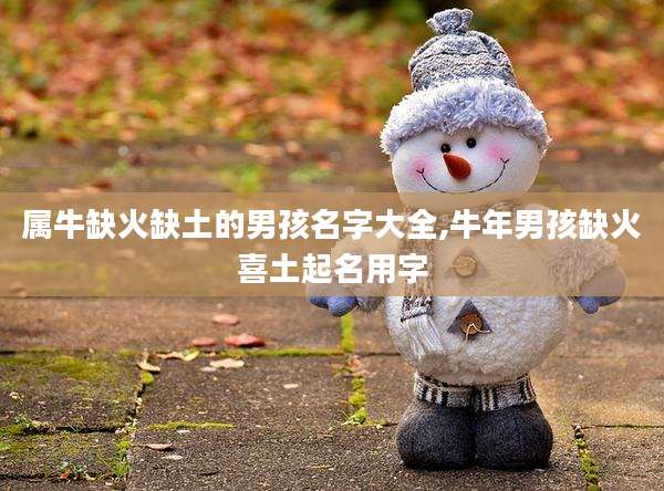 属牛缺火缺土的男孩名字大全,牛年男孩缺火喜土起名用字