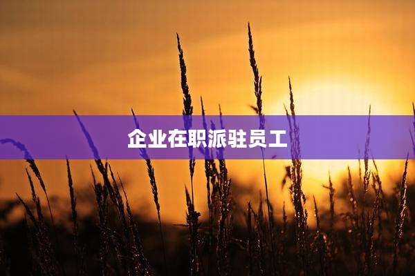 企业在职派驻员工