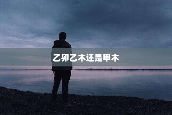乙卯乙木还是甲木