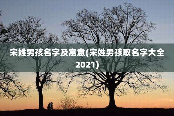 宋姓男孩名字及寓意(宋姓男孩取名字大全2021)
