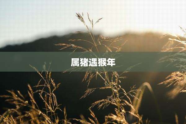 属猪遇猴年