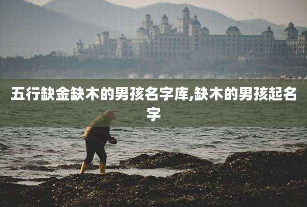五行缺金缺木的男孩名字库,缺木的男孩起名字