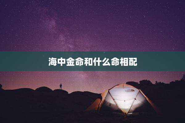 海中金命和什么命相配