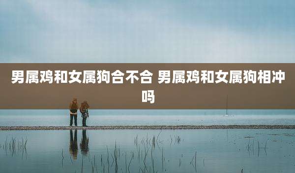 男属鸡和女属狗合不合 男属鸡和女属狗相冲吗