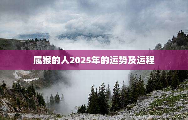 属猴的人2025年的运势及运程