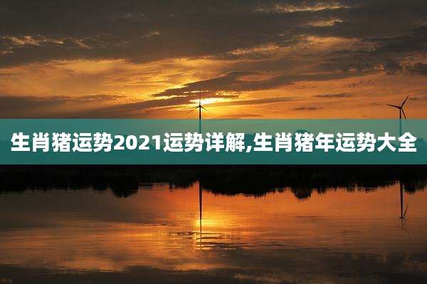 生肖猪运势2021运势详解,生肖猪年运势大全