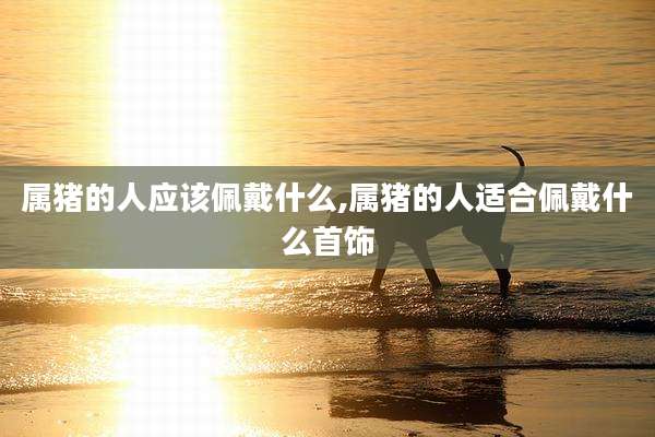 属猪的人应该佩戴什么,属猪的人适合佩戴什么首饰