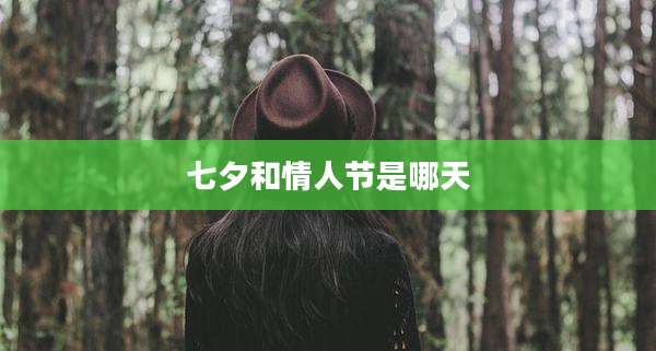七夕和情人节是哪天