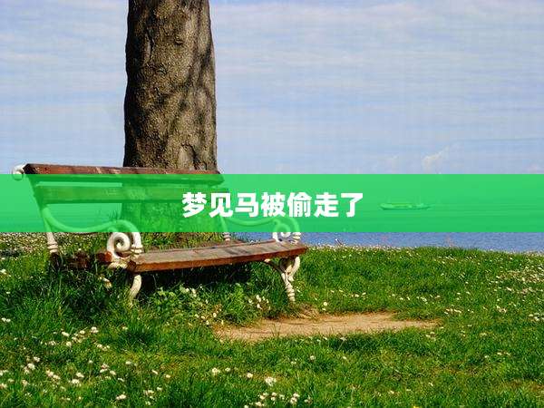梦见马被偷走了