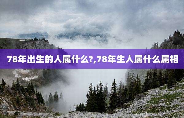 78年出生的人属什么?,78年生人属什么属相