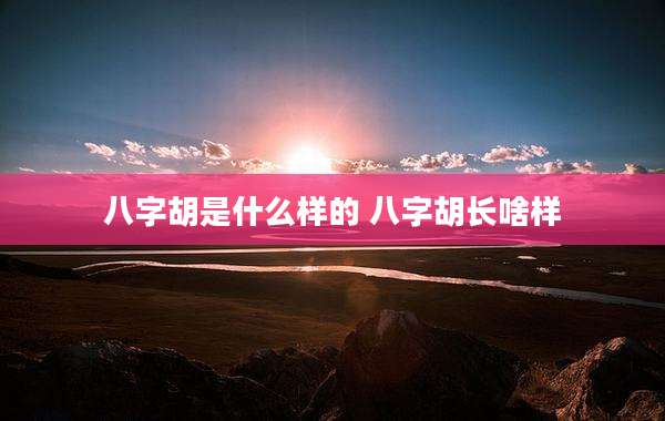 八字胡是什么样的 八字胡长啥样
