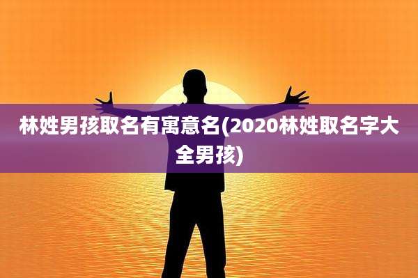 林姓男孩取名有寓意名(2020林姓取名字大全男孩)
