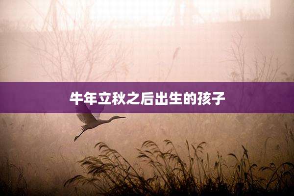 牛年立秋之后出生的孩子