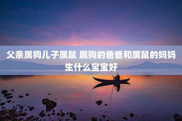 父亲属狗儿子属鼠 属狗的爸爸和属鼠的妈妈生什么宝宝好