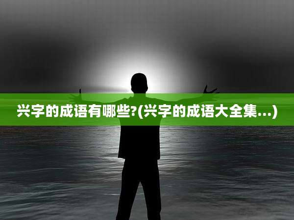 兴字的成语有哪些?(兴字的成语大全集...)