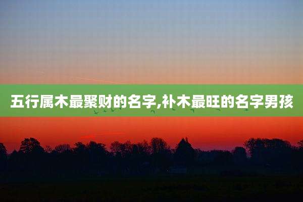 五行属木最聚财的名字,补木最旺的名字男孩