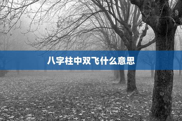 八字柱中双飞什么意思