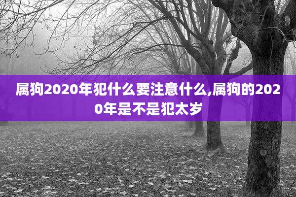 属狗2020年犯什么要注意什么,属狗的2020年是不是犯太岁