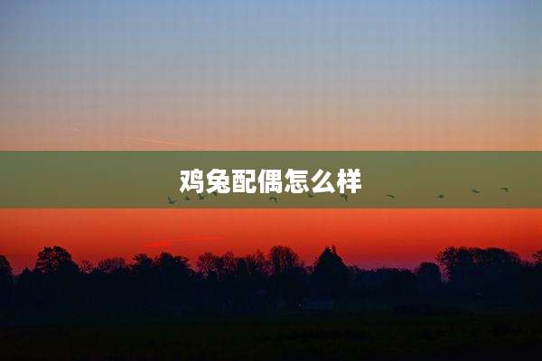 鸡兔配偶怎么样