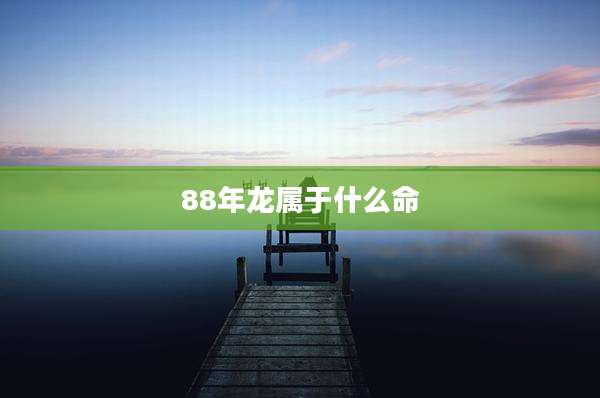 88年龙属于什么命