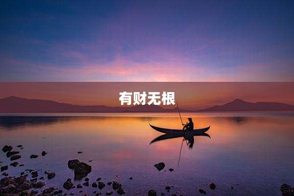 有财无根