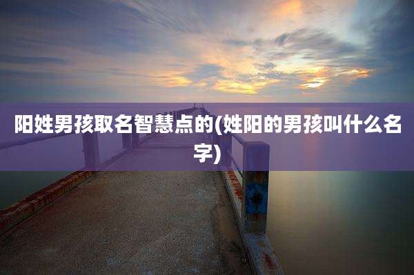阳姓男孩取名智慧点的(姓阳的男孩叫什么名字)