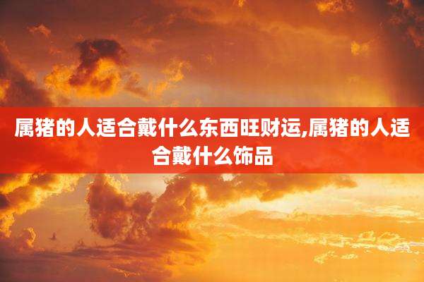 属猪的人适合戴什么东西旺财运,属猪的人适合戴什么饰品