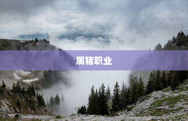 属猪职业