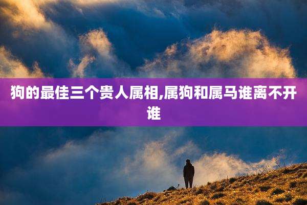 狗的最佳三个贵人属相,属狗和属马谁离不开谁