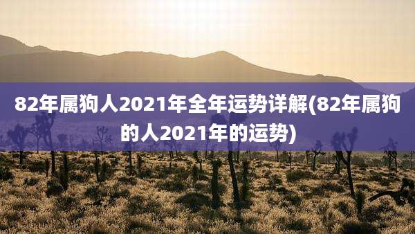 82年属狗人2021年全年运势详解(82年属狗的人2021年的运势)