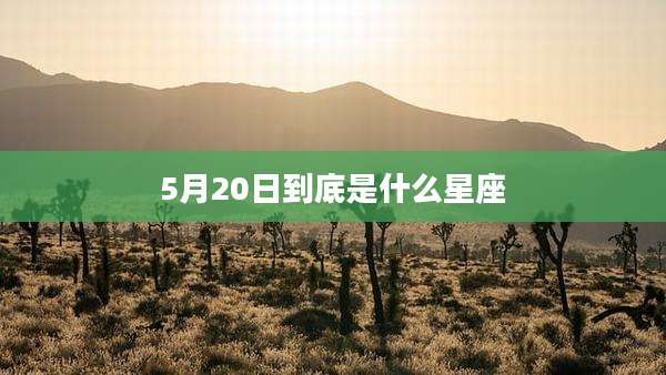 5月20日到底是什么星座