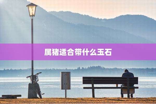 属猪适合带什么玉石