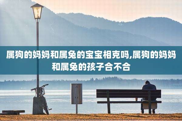 属狗的妈妈和属兔的宝宝相克吗,属狗的妈妈和属兔的孩子合不合