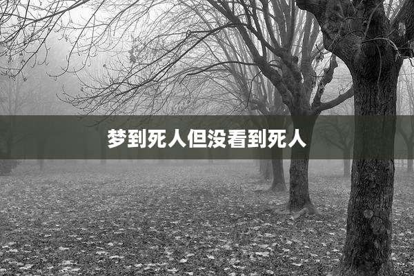 梦到死人但没看到死人
