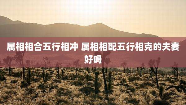 属相相合五行相冲 属相相配五行相克的夫妻好吗