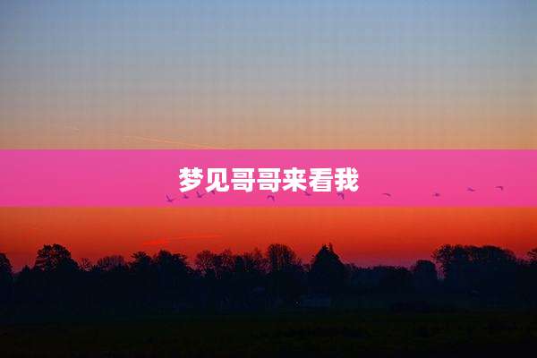 梦见哥哥来看我
